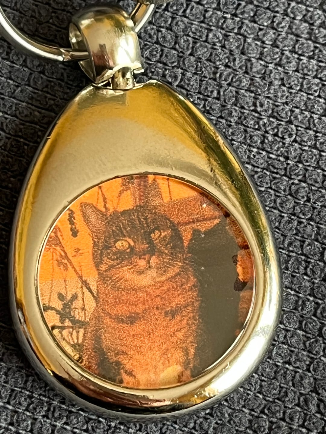 Customer photo review of Schlüsselanhänger mit Katzenfoto Angebot