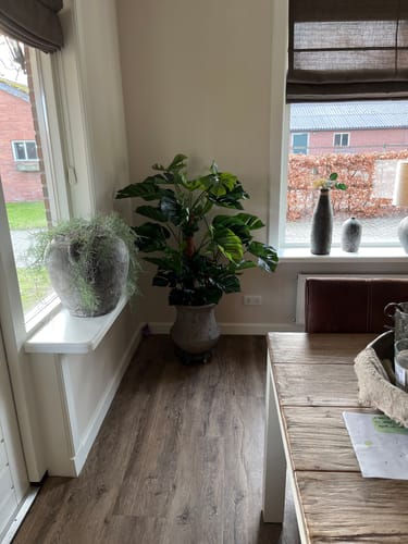 Customer photo review of Monstera Kunstplant 120cm