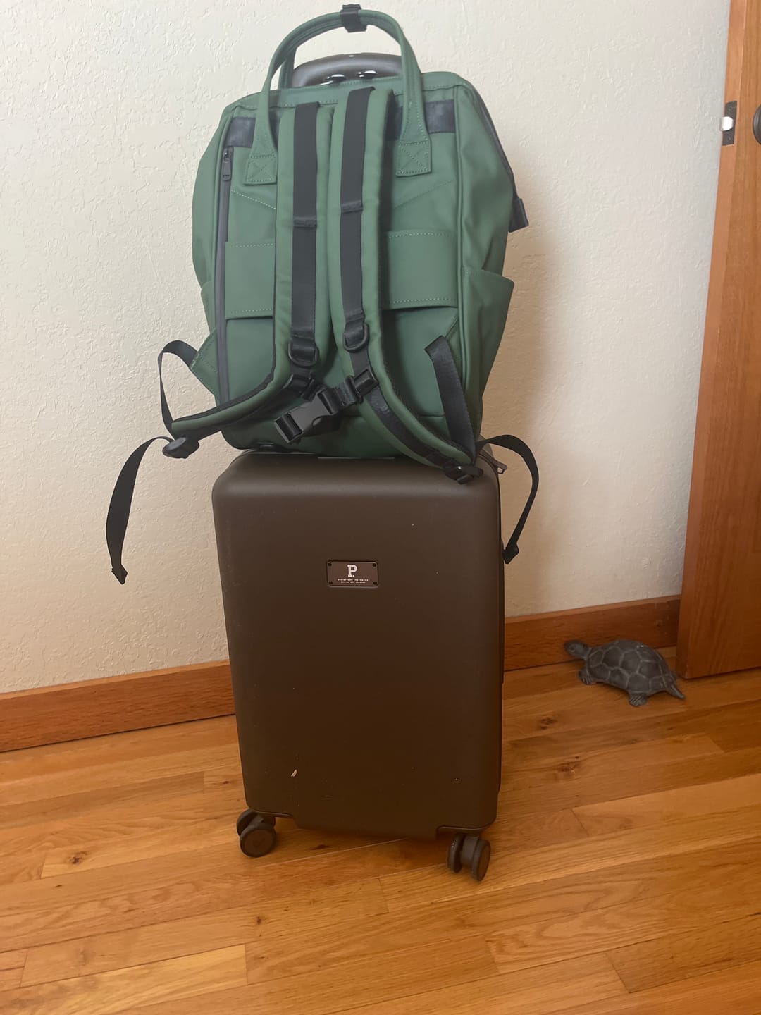 Customer photo review of Cascade Carry-On