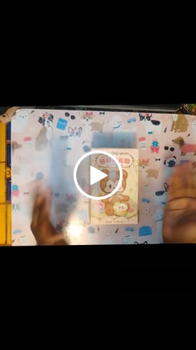 Customer video review of Pezzy Bear's Gift Series Handmade Plush Blind Box