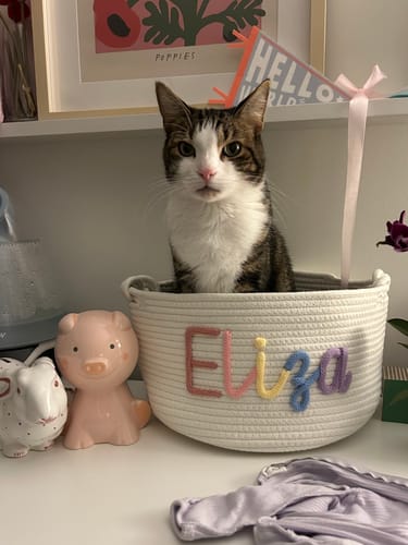 Customer's personalized white basket with knitted lettering spelling 'Eliza', with a cat sitting inside.