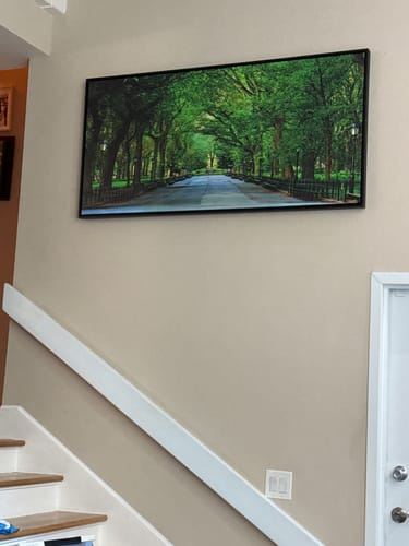 Customer photo review of The Mall In Central Park, Manhattan, New York City