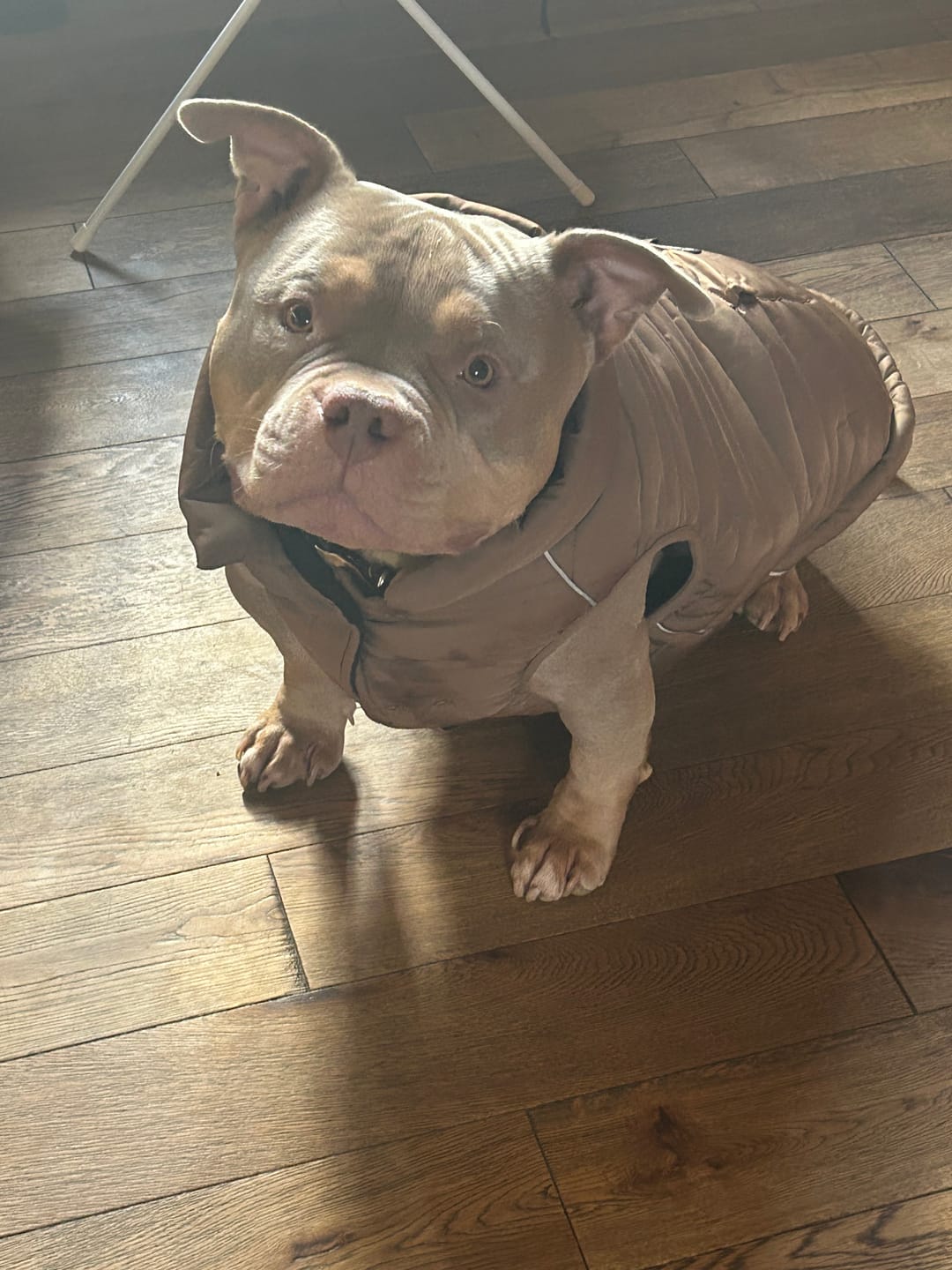Customer photo review of WarmShield Water-Resistant Jackets