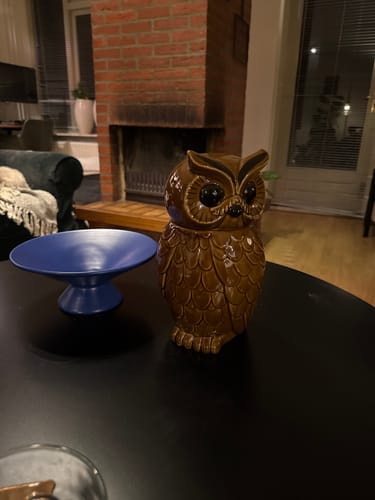 Klant toont de bruine, keramische HKliving uil voorraadpot op een tafel in de woonkamer.