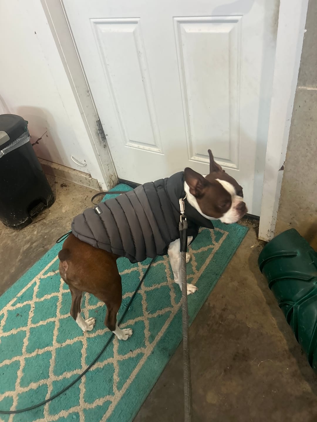 Customer photo review of PuffShield Winter Jacket - Black