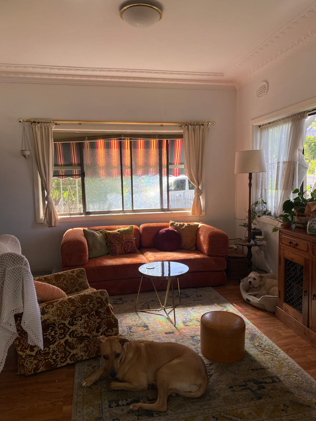 Customer photo review of Nova Modular Sofa Bed-Rust