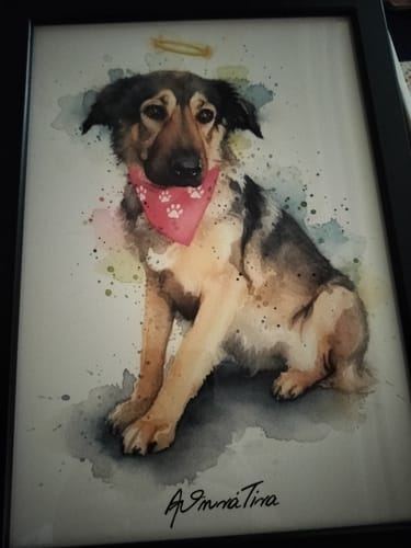 Customer photo review of Πορτραίτο Κατοικίδιου - Νερομπογιά