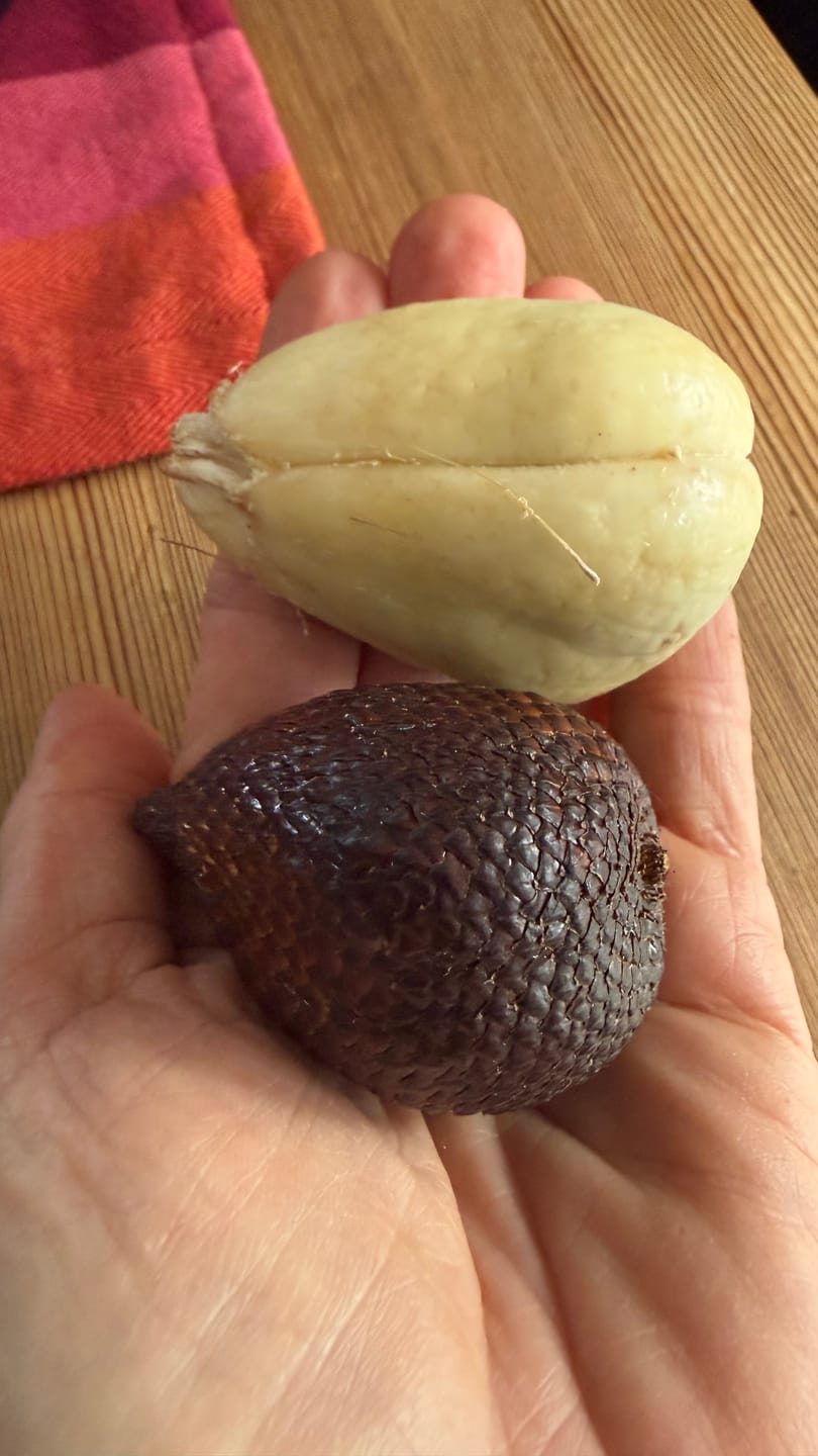 Customer photo review of Salak (Schlangenfrucht) naturbelassen