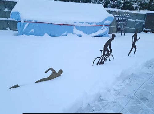 Customer photo review of Gartenstecker Schwimmer