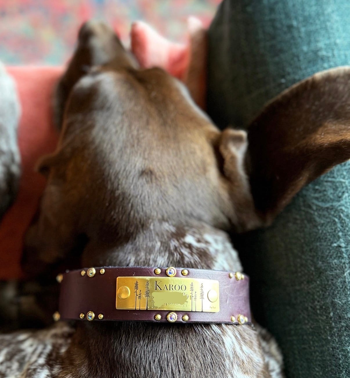Customer photo review of Designer Rivet-On Tag