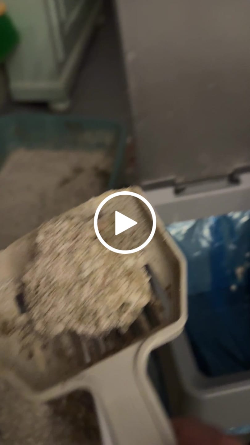 Customer video review of Neakasa PooGuard Pet Waste Disposal Bin