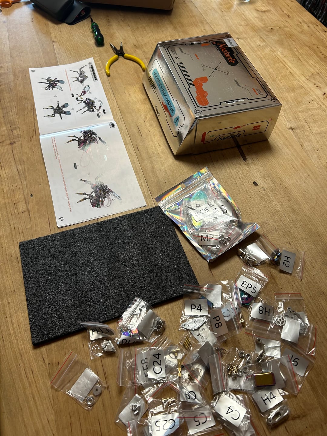 Customer photo review of Hercules Beetle
