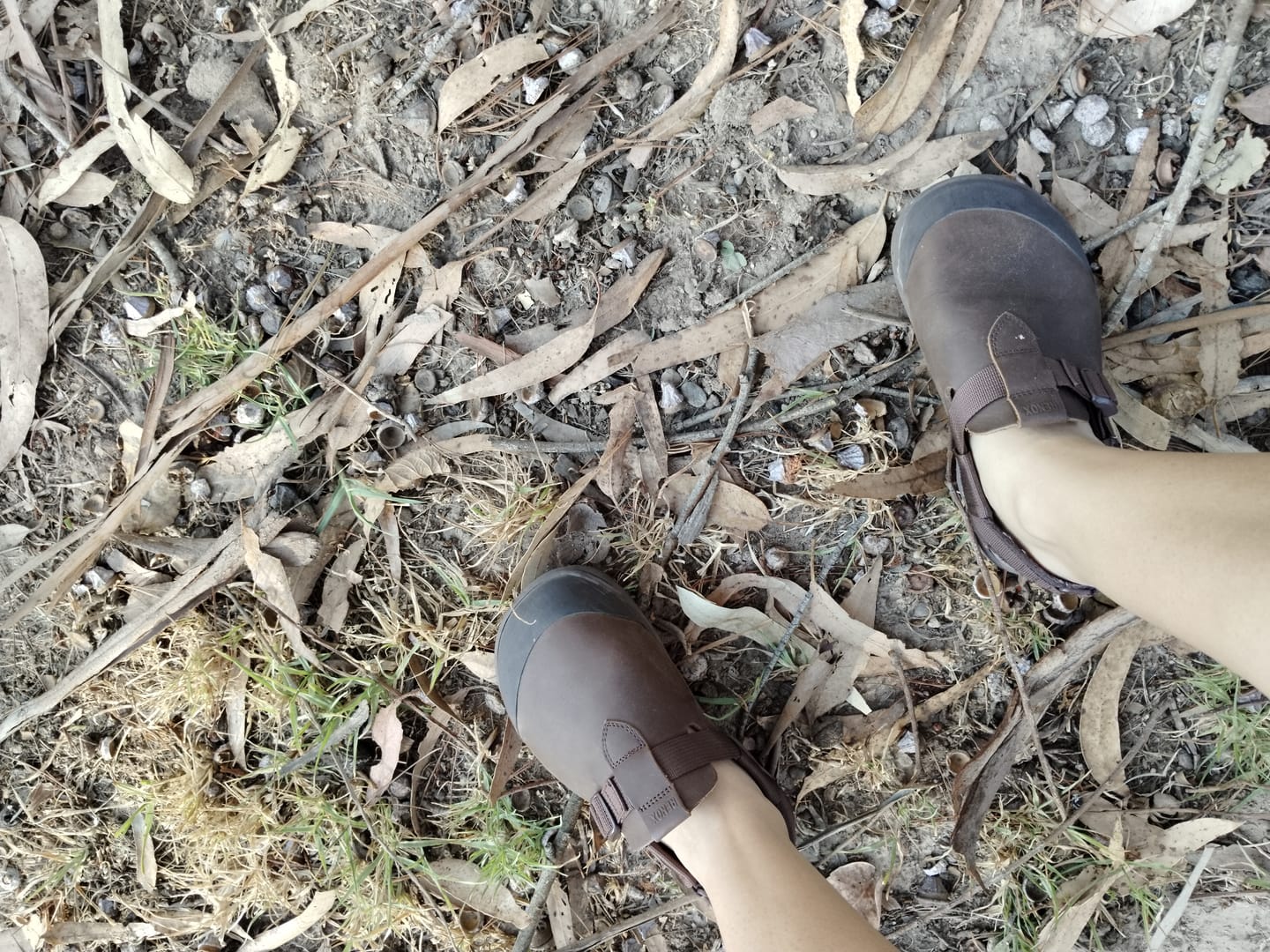 Customer photo review of Zueco Terra Clog Todo Terreno Café Chocolate Unisex