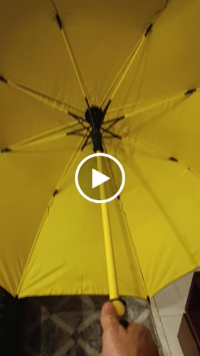 Customer video review of BMW UV Protected 4 Person Umbrella