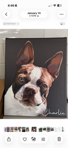 Customer photo review of Pet Art Canvas Wrap