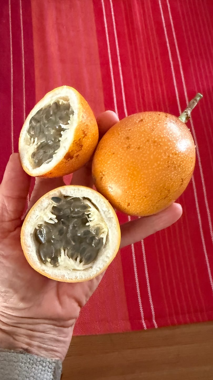 Customer photo review of Süße Granadilla Sparpreis-Box