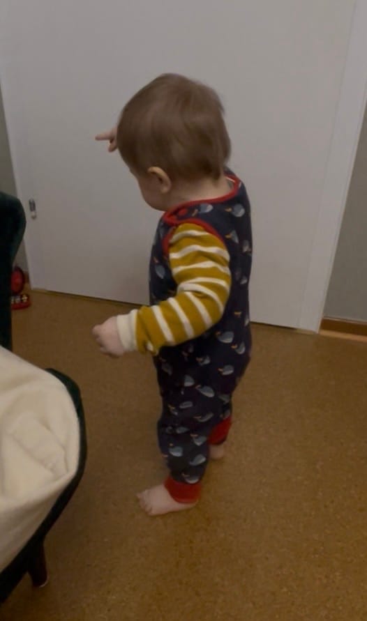 Customer photo review of Whale Song Everyday Dungarees