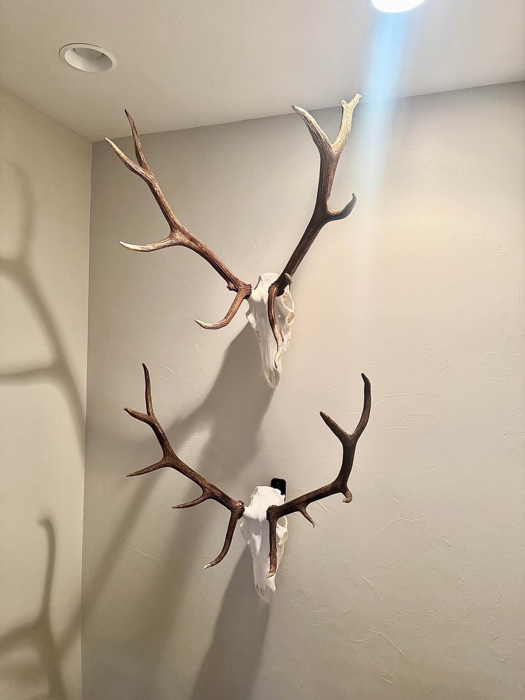 Customer photo review of SkulLok | Large Game