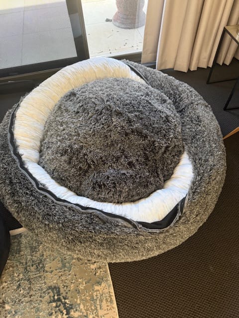Customer photo review of Premium Calming Pet Bed with Removable Cover