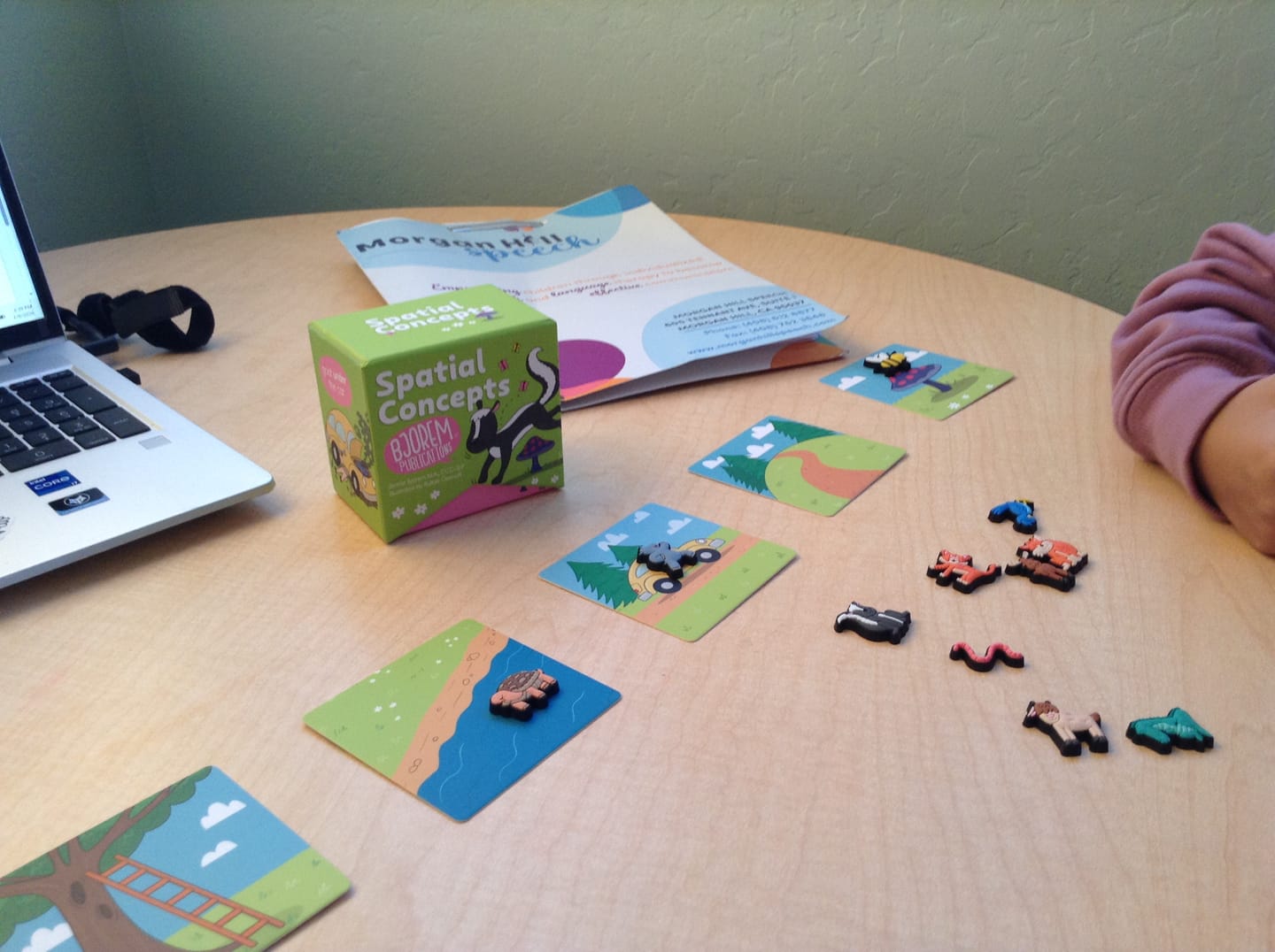 Customer photo review of Bjorem Spatial Concepts - Card Deck and Minis Bundle