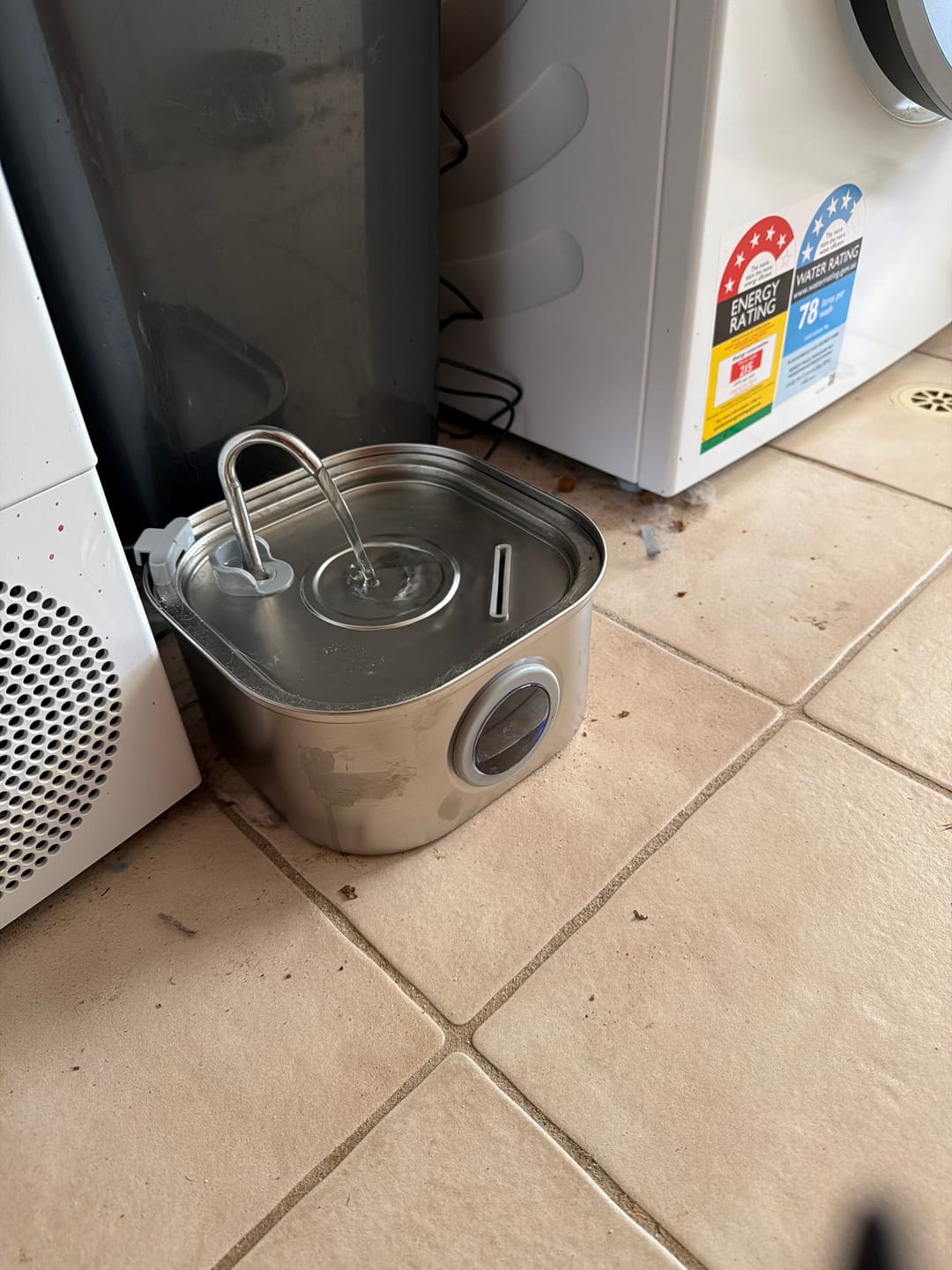 Customer photo review of Whisker Collective Drinking Fountain and Filter Replacement Packs