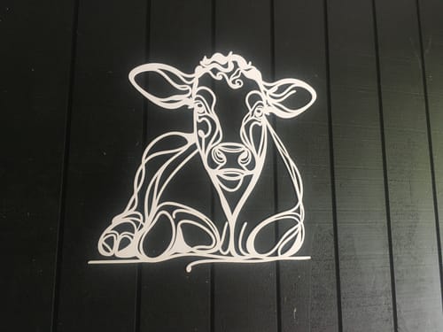 Customer photo review of Line Art Cow Décor