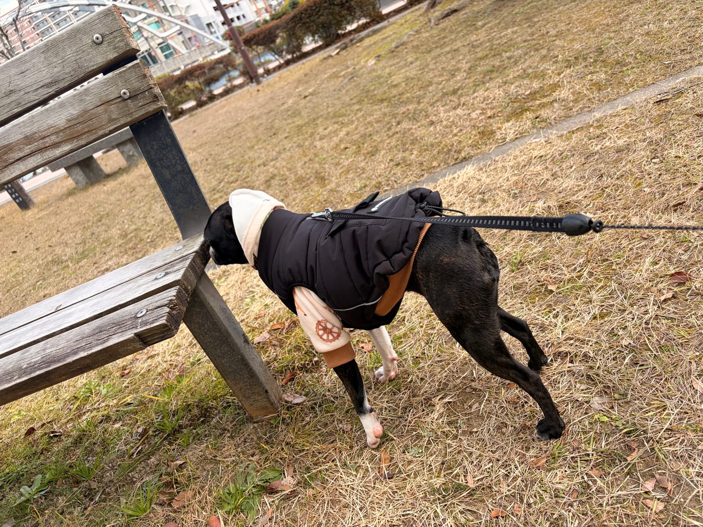 Customer photo review of WarmShield Water-Resistant Jacket - Black