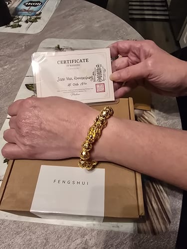 Customer photo review of Prestige Dragon's Wealth – Gold Pixiu Bracelet