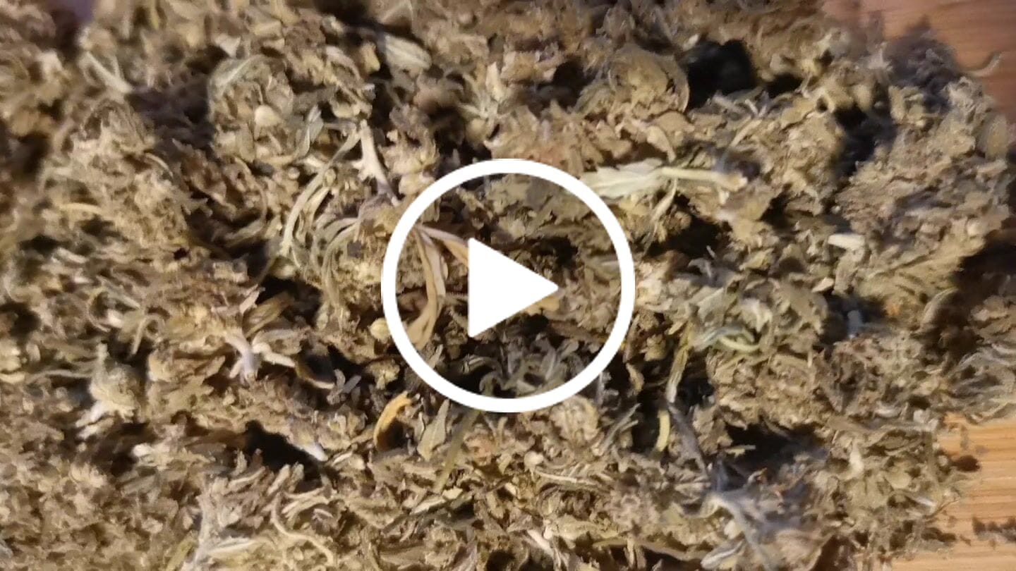 Customer video review of 🍃 Blütenmix - POWER LVL: 4/5