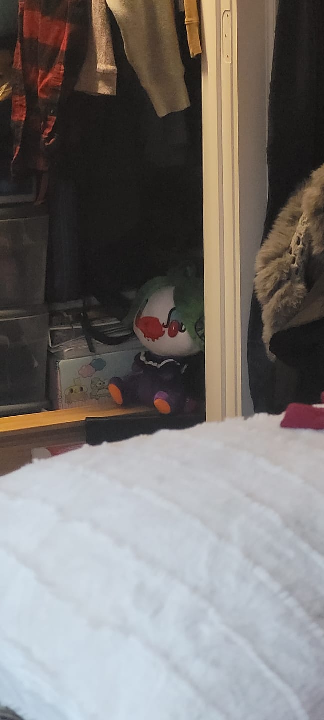 Customer photo review of All Purpose Bunny Chax Taito Sketchy Clown Plush