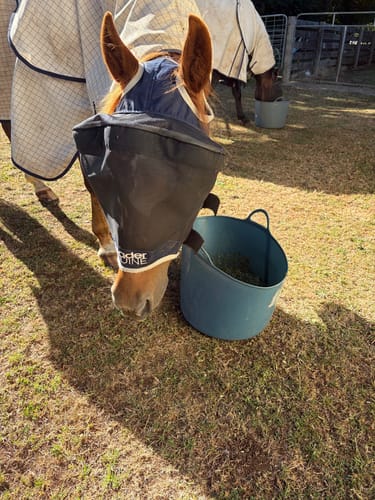 Customer photo review of LE Outback Fly Mask Original