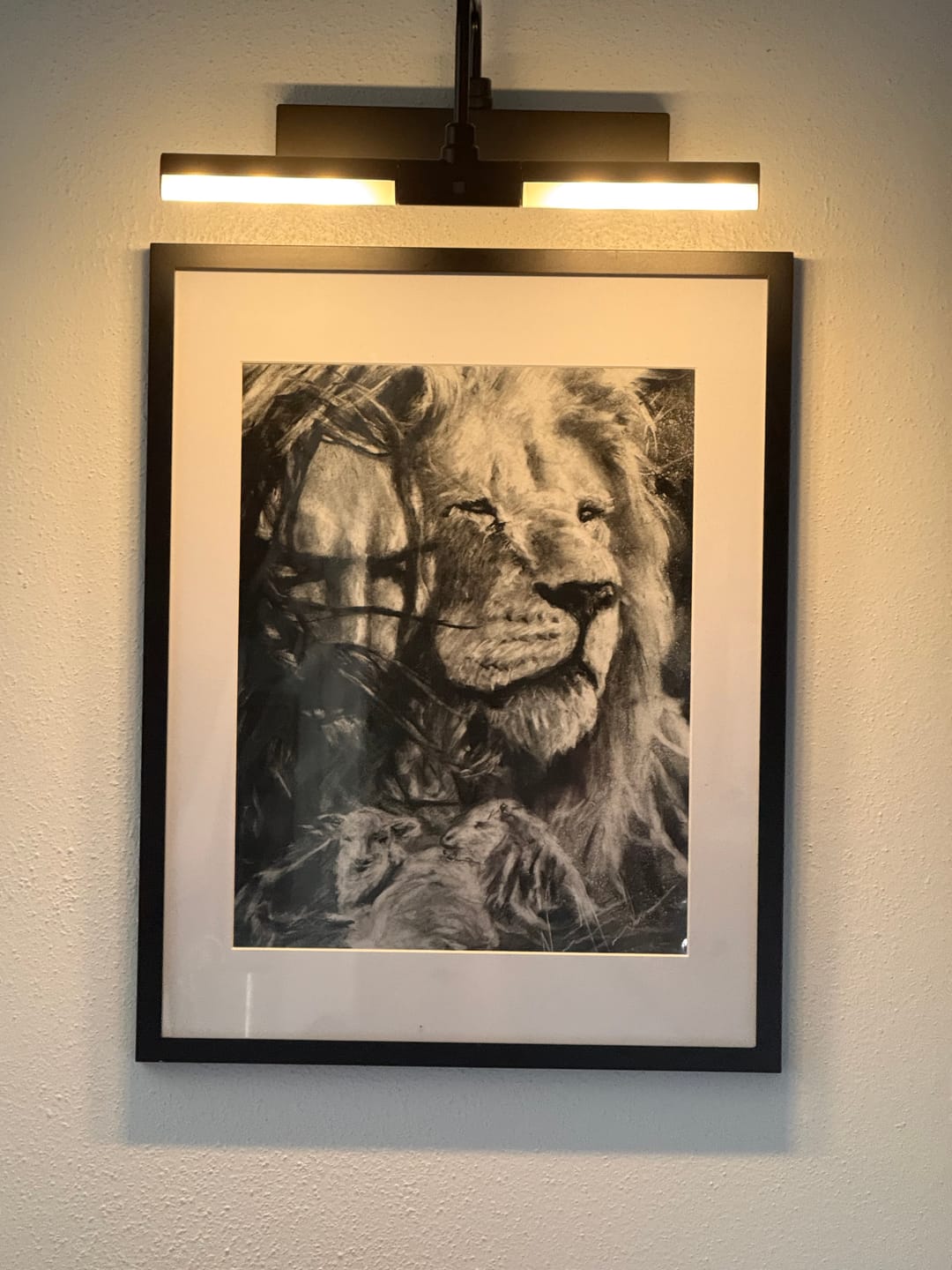 Customer photo review of The Shroud of Turin - The Colors of Life