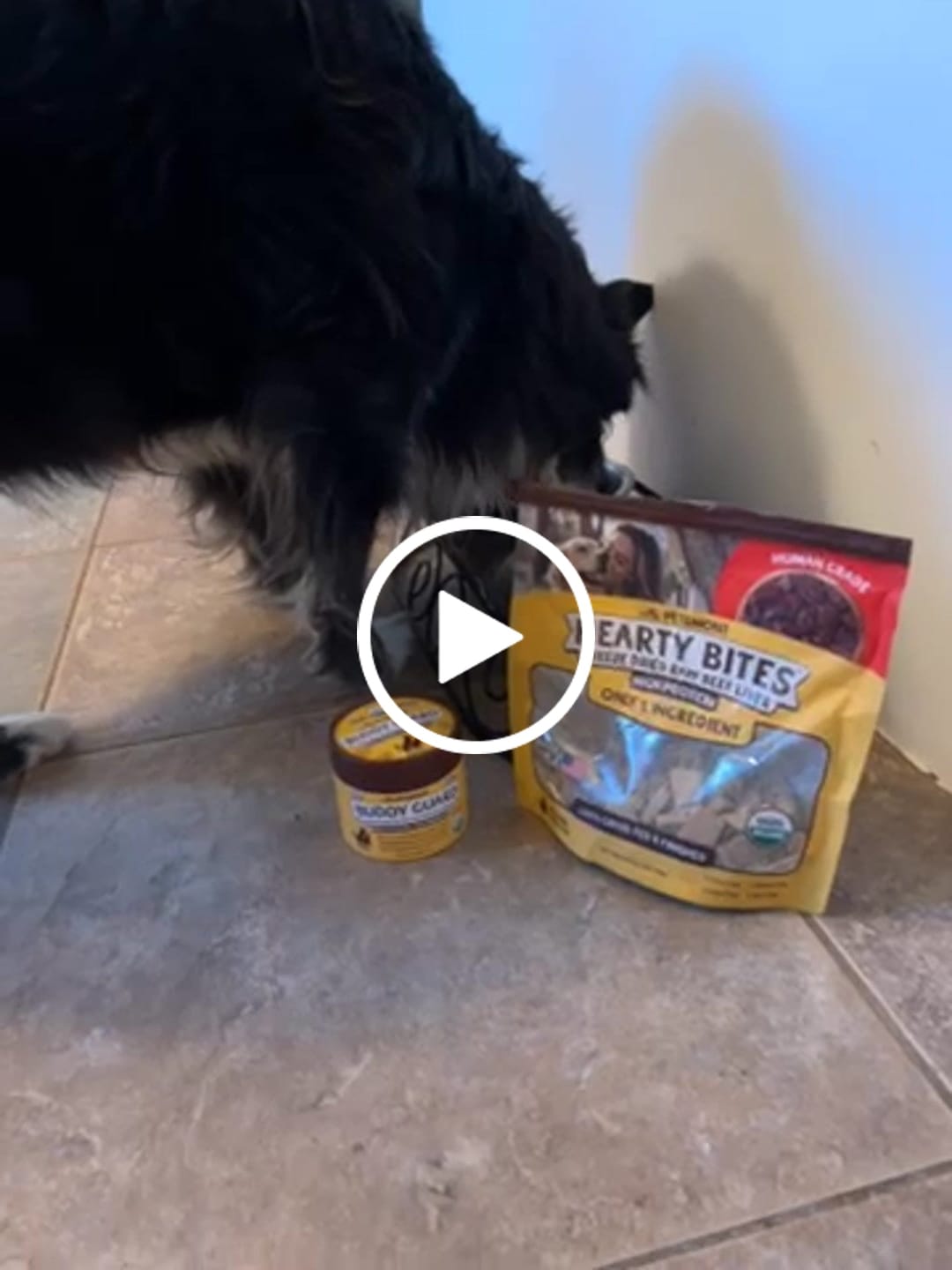 Customer video review of Buddy Guard + Hearty Bites
