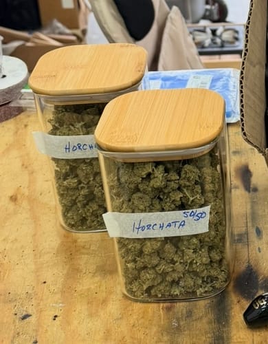 Customer photo review of Shipping Protection by Route