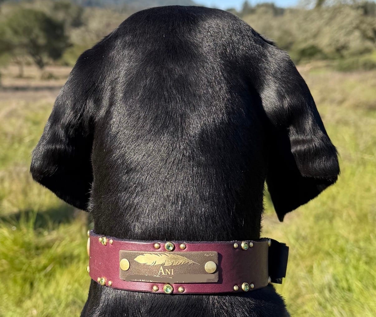 Customer photo review of Designer Rivet-On Tag
