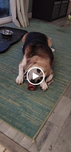 Customer video review of Smoked Beef Marrow Bone