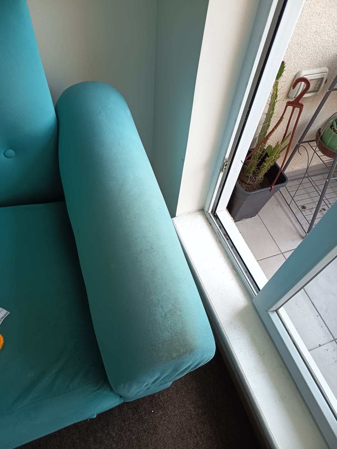 Customer photo review of Cepillo Tapiz