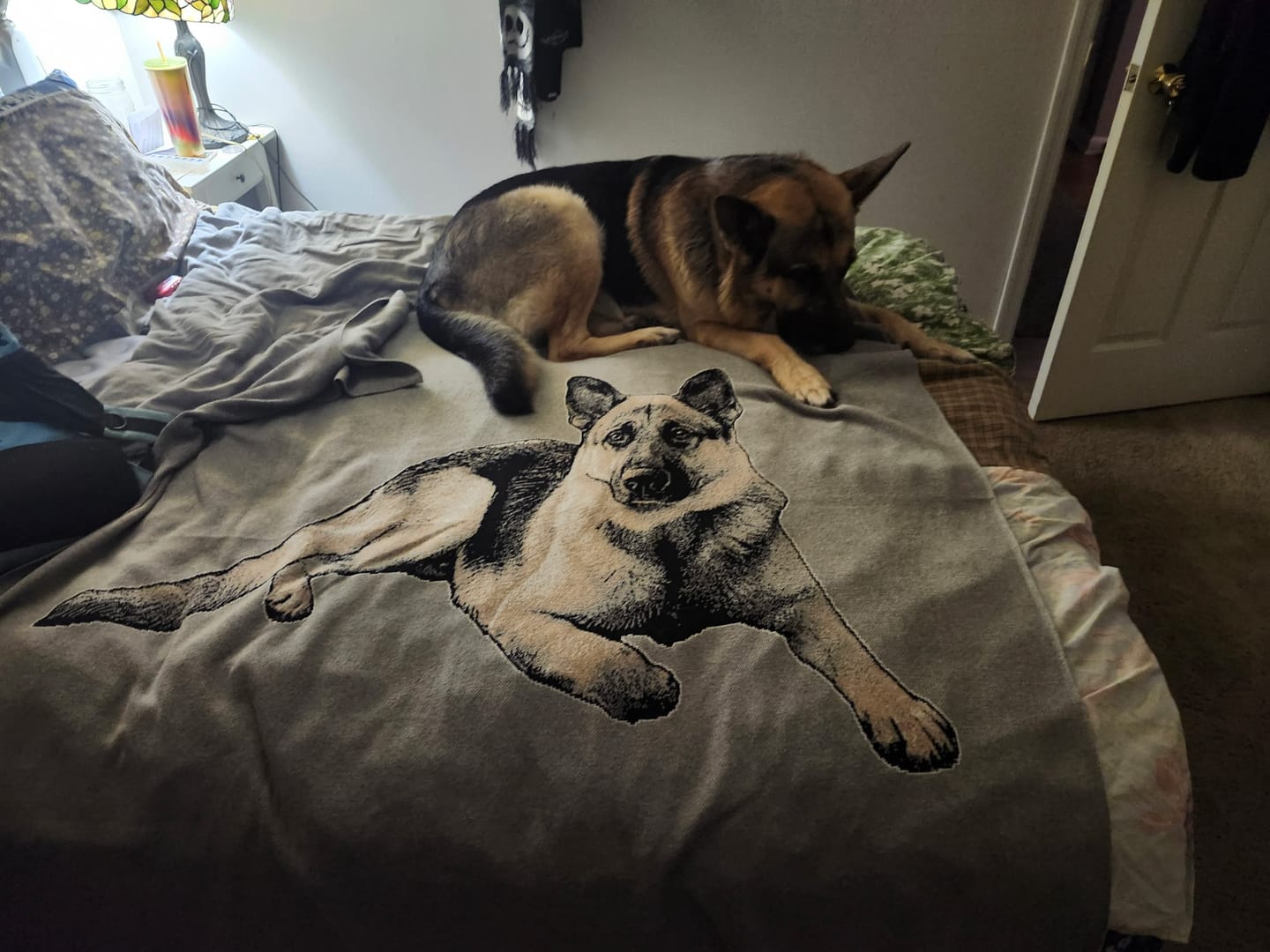 Customer photo review of Plain Dog - Custom Knitted Blanket