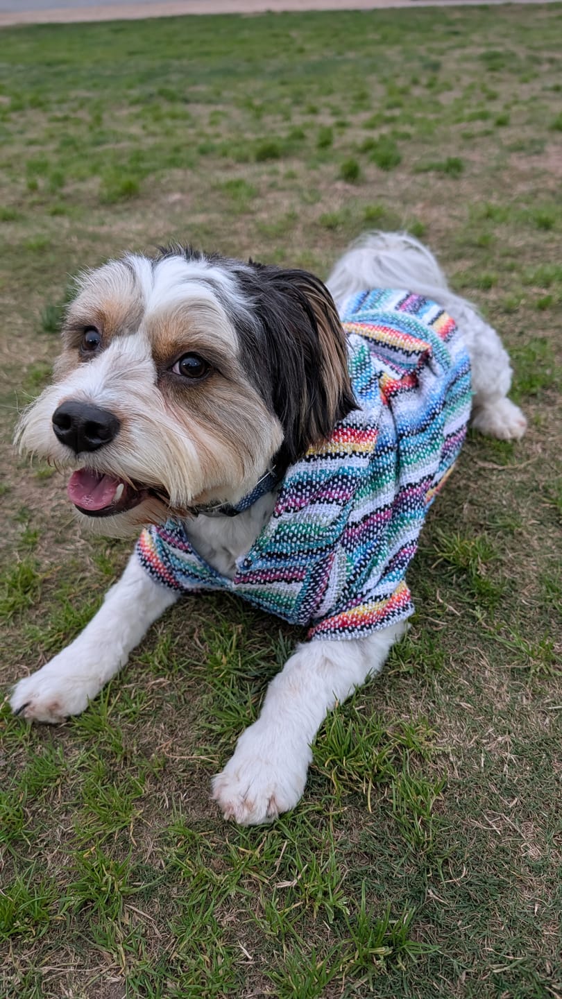 Customer photo review of Playa Poncho – Mystery Color (Bella, Charlie, or Fun Edition)