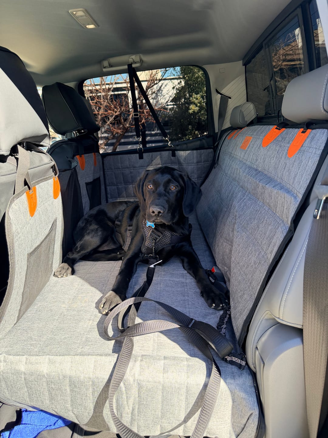 Customer photo review of CozyRider™ 2.0