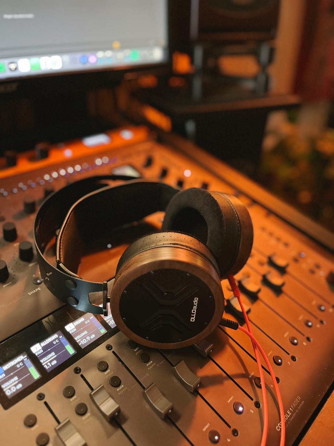Customer photo review of X1