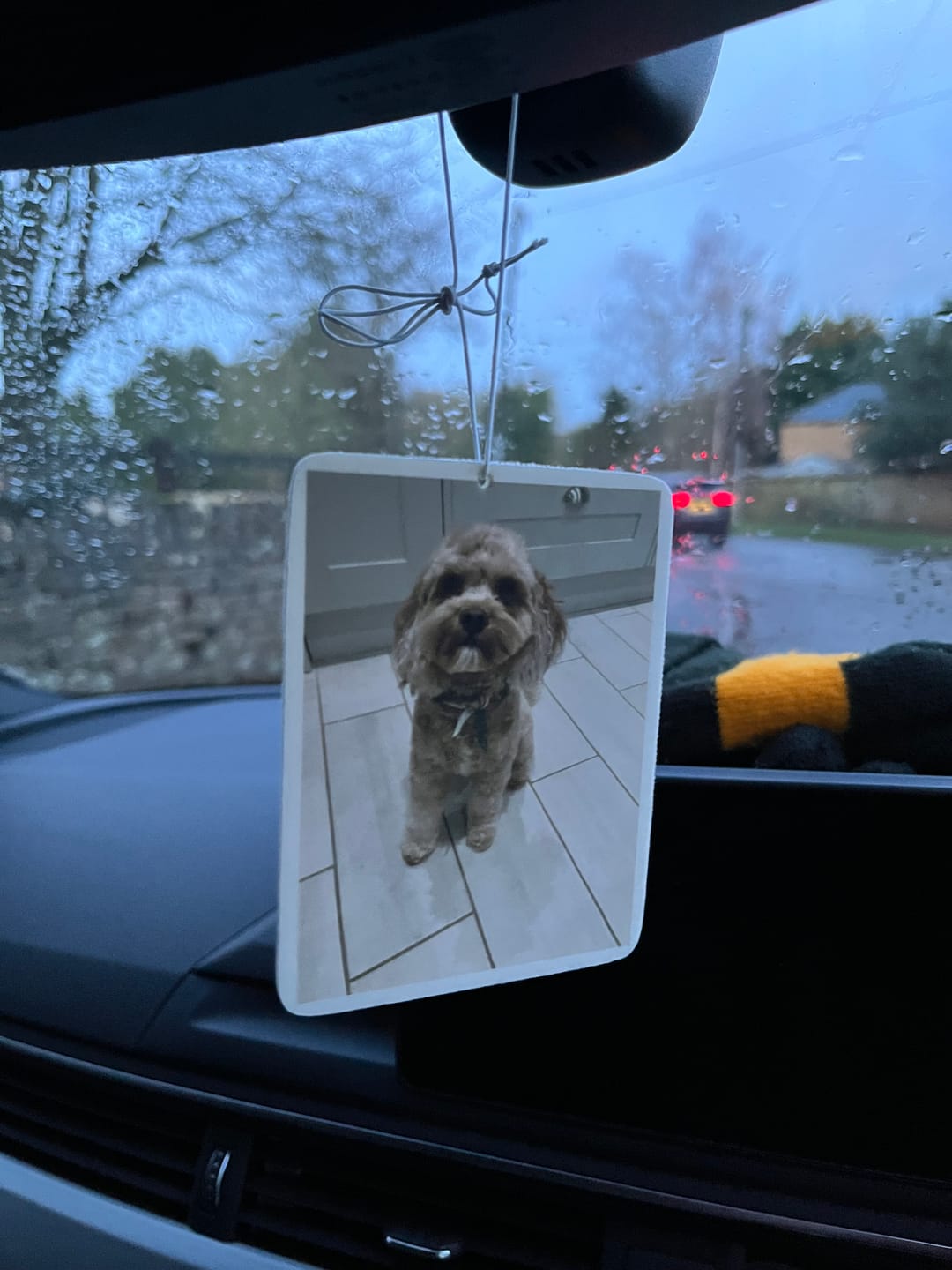 Customer photo review of Personalised Custom Car Air Freshener With Your Photo