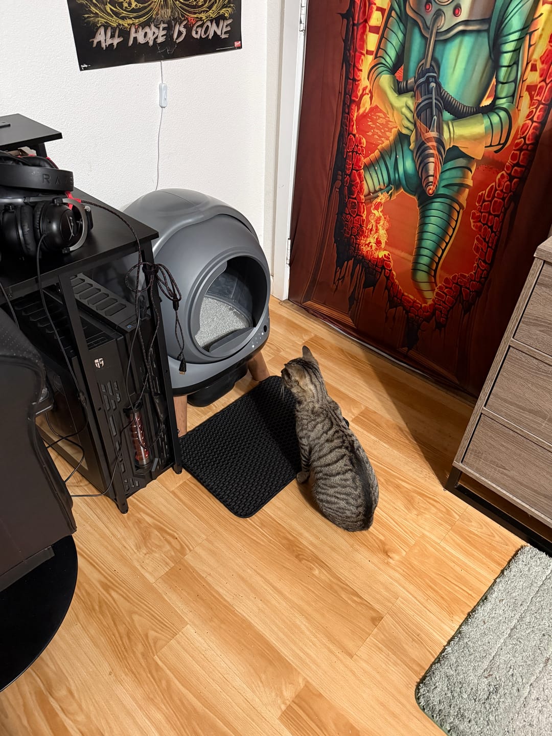 Customer photo review of [New Year Sale]Orbitie with Wide Opening Self Cleaning Litter Box