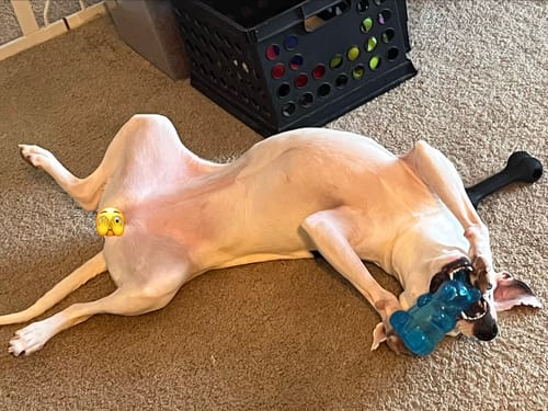 Customer photo review of The Tire - USA Made