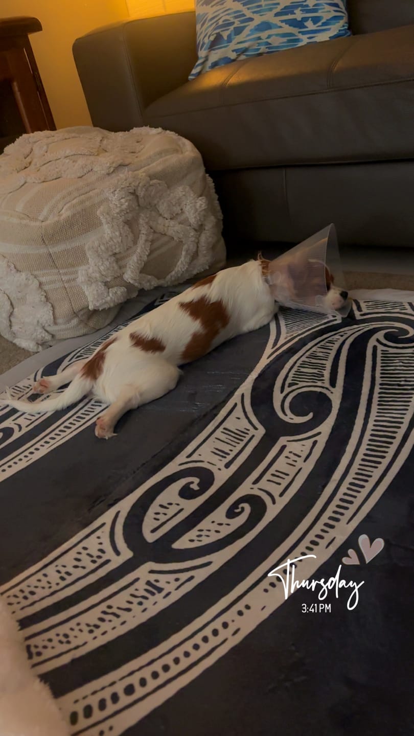 Customer photo review of Māmā Mat - Memory Foam - (NGA HAU E WHA)