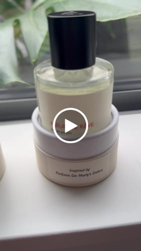 Customer video review of Priority dispatch - skip the queue