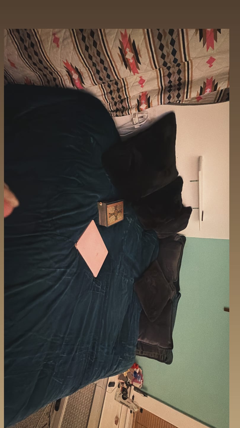 Customer photo review of Velós Complete Bedding Set