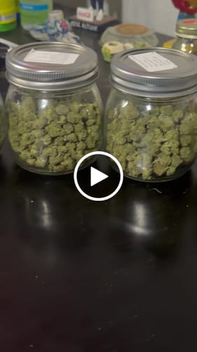 Customer video review of Greenhouse Smalls