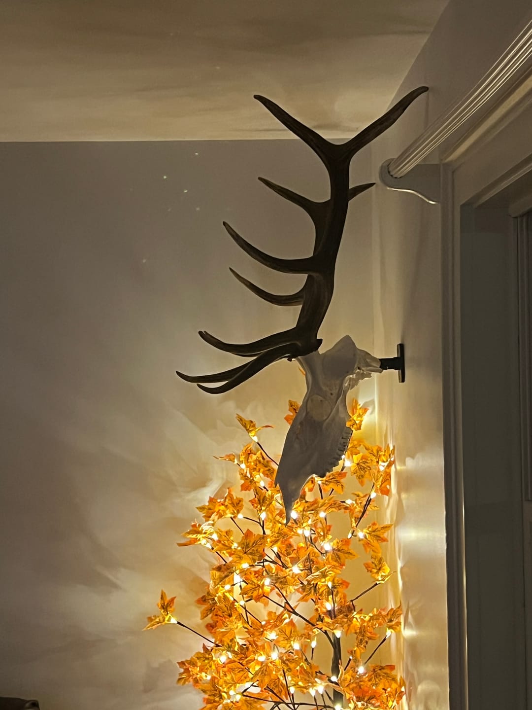 Customer photo review of SkulLok | Large Game