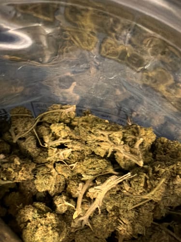 Customer photo review of Bulk THCA Flower Pounds